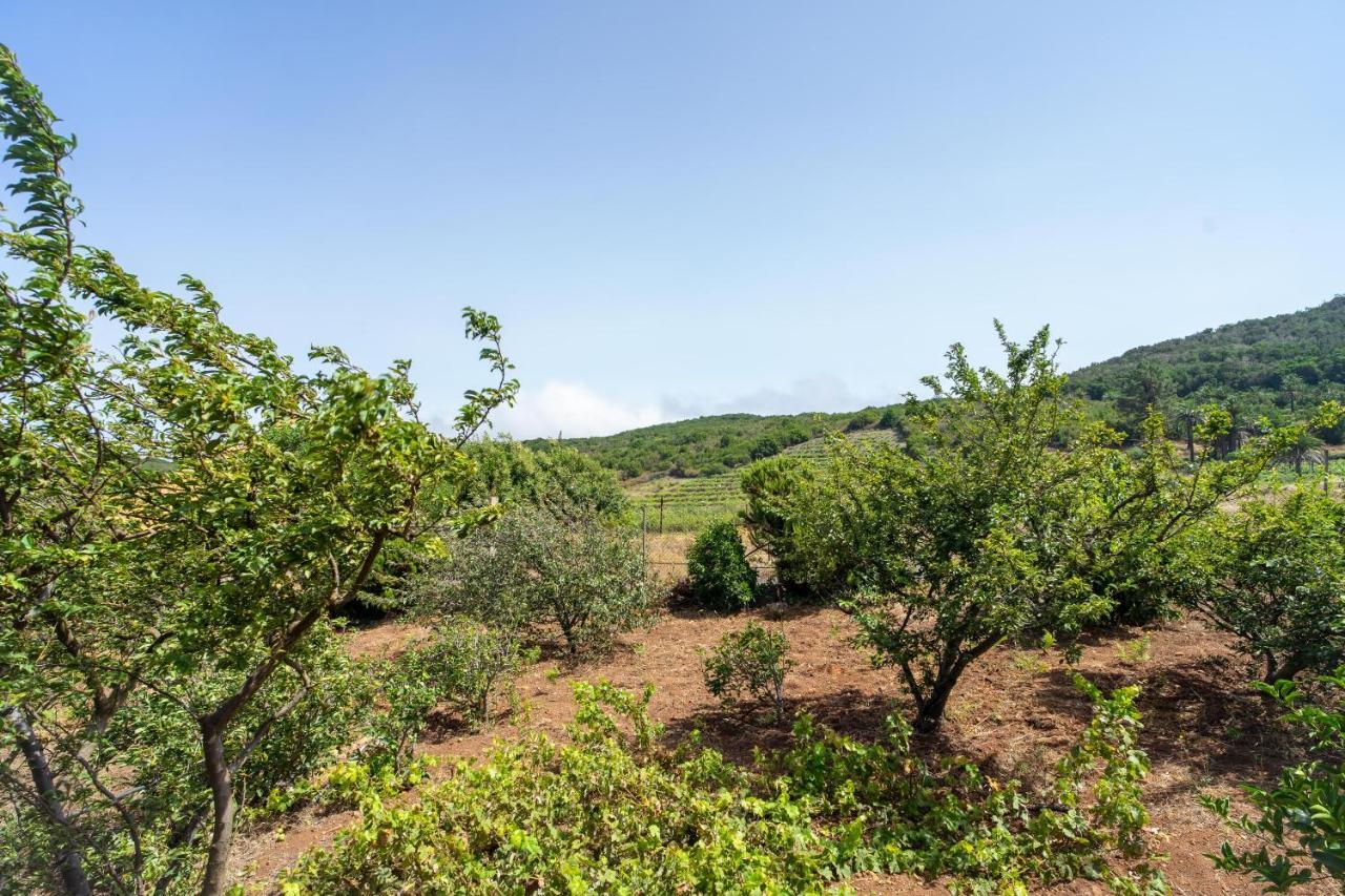 Casa Fatima Valle Gran Rey Εξωτερικό φωτογραφία