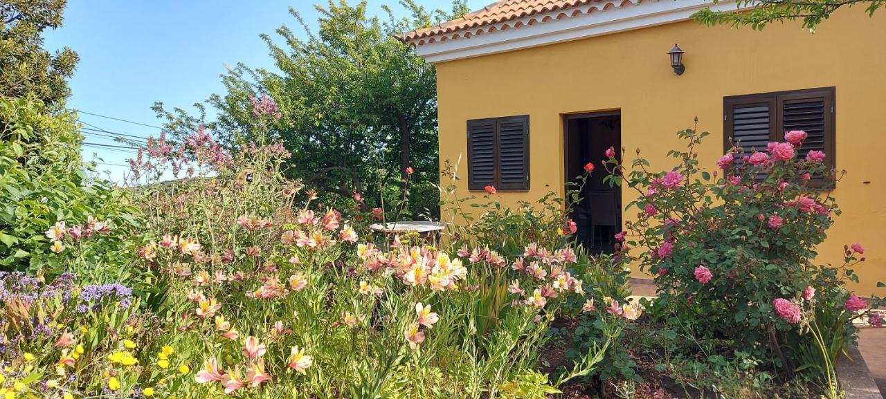 Casa Fatima Valle Gran Rey Εξωτερικό φωτογραφία